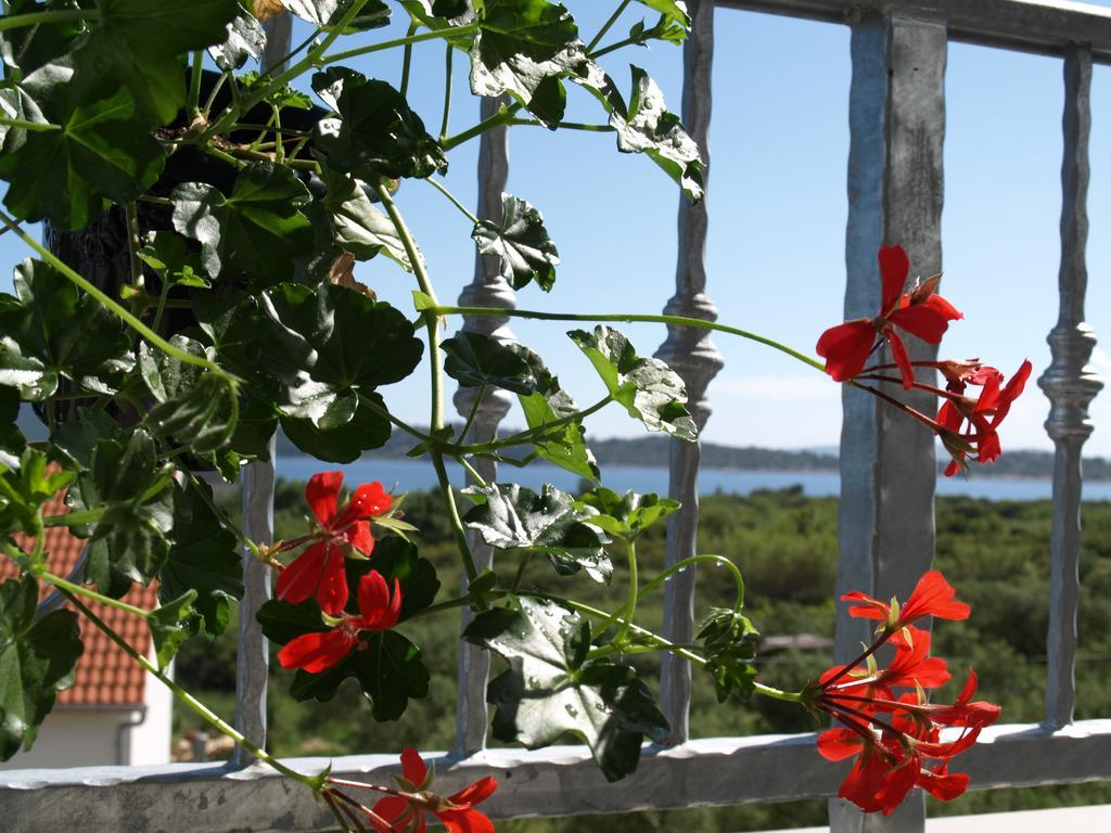 Apartment Arta Vodice Eksteriør billede